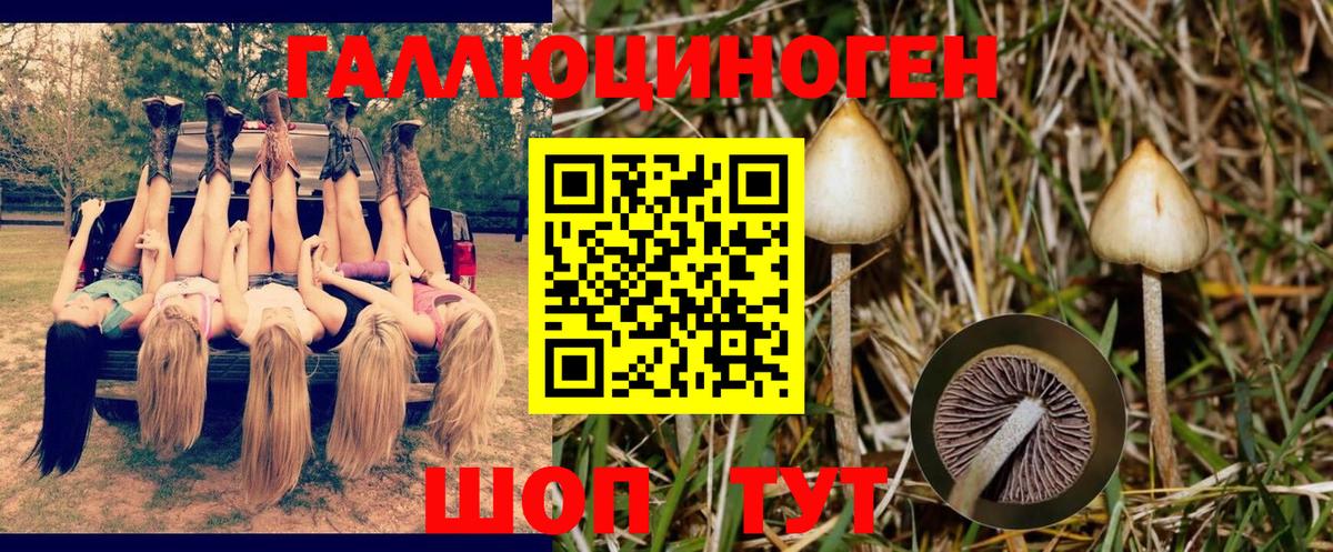 Псилоцибиновые грибы Cubensis Лянтор