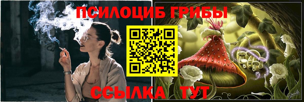 Лянтор  Псилоцибиновые грибы Psilocybe  Вход с VPN  Галлюциногенные грибы Cubensis 